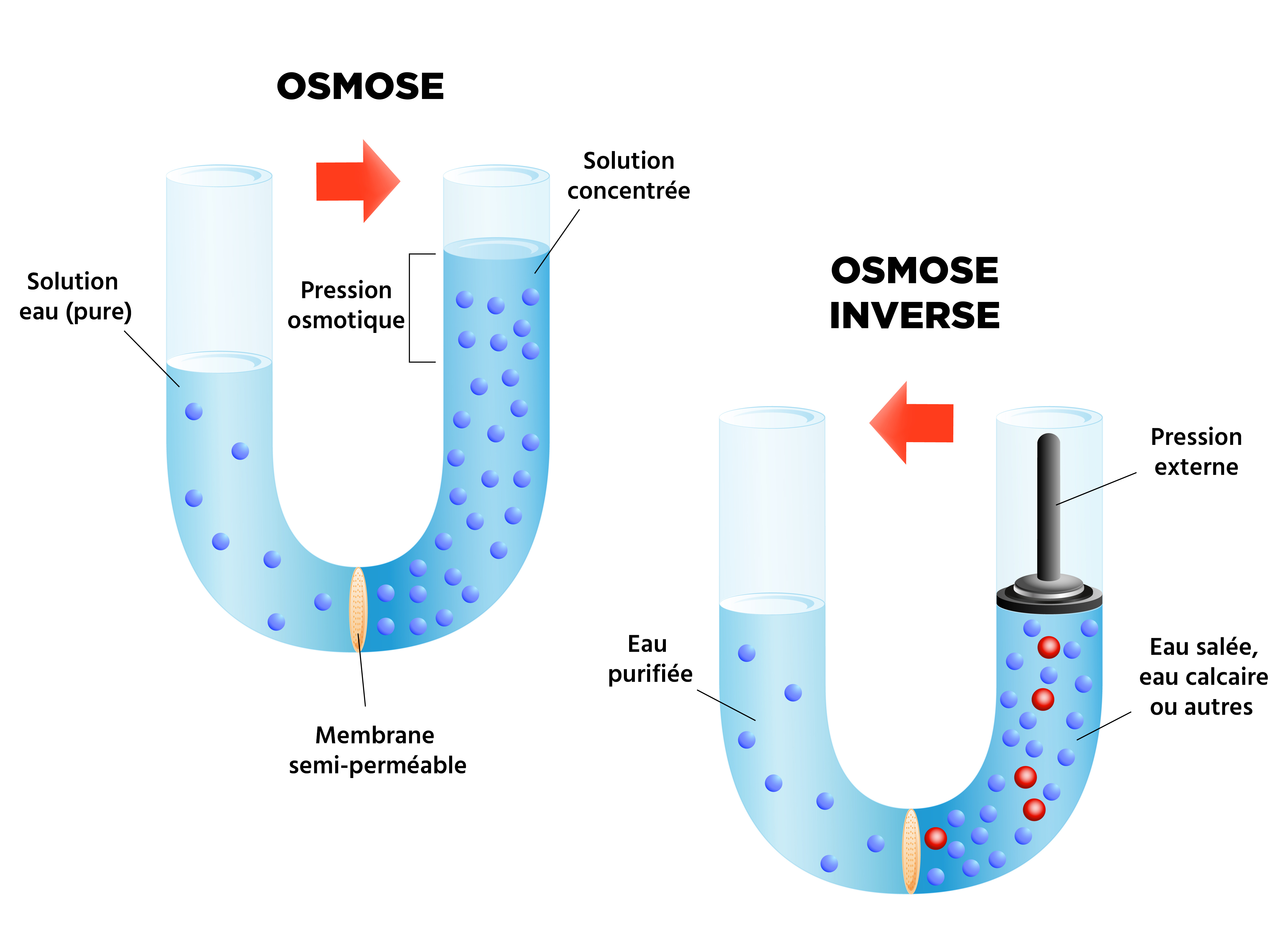 Zoom Sur Le Proc d D osmose Inverse Je Traite Mon Eau